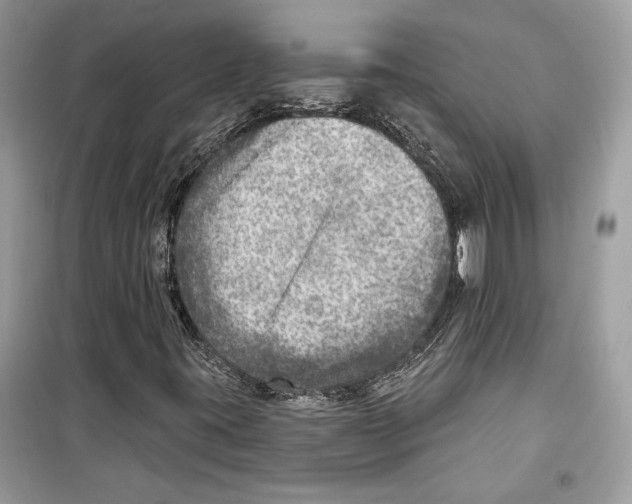 X0000098171395200805221505