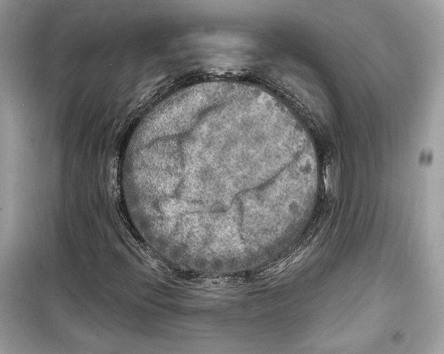 X0000098171396200805221505