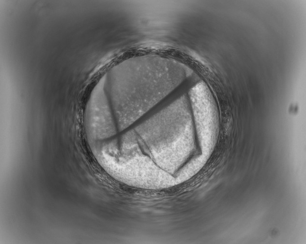 X0000098171397200805221505