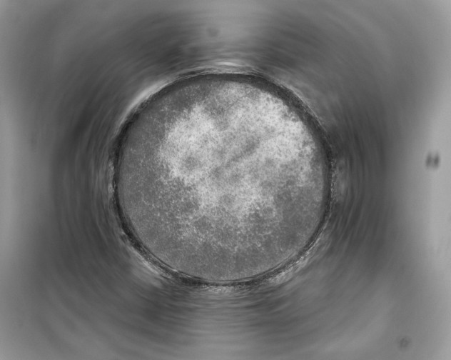 X0000098171402200805221505