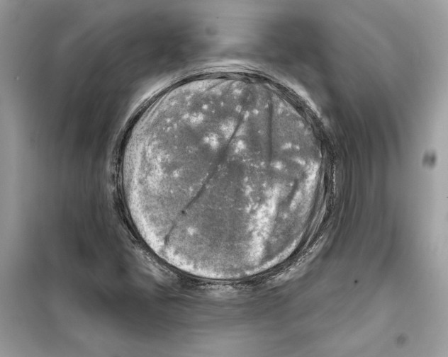 X0000098171405200805221505