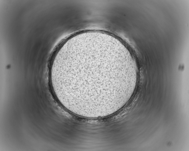 X0000098171408200805221505