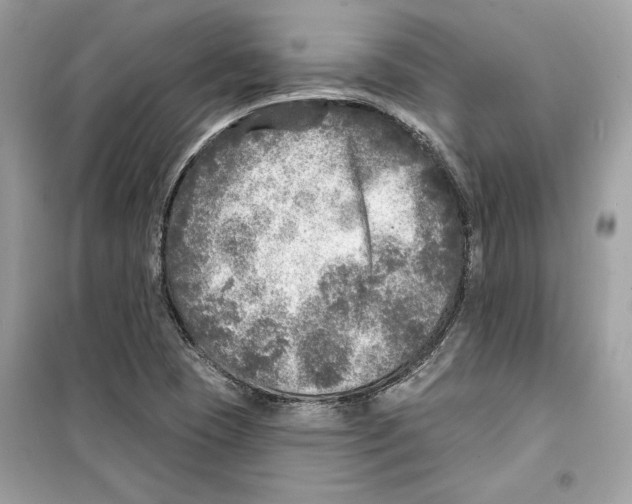 X0000098171409200805221505