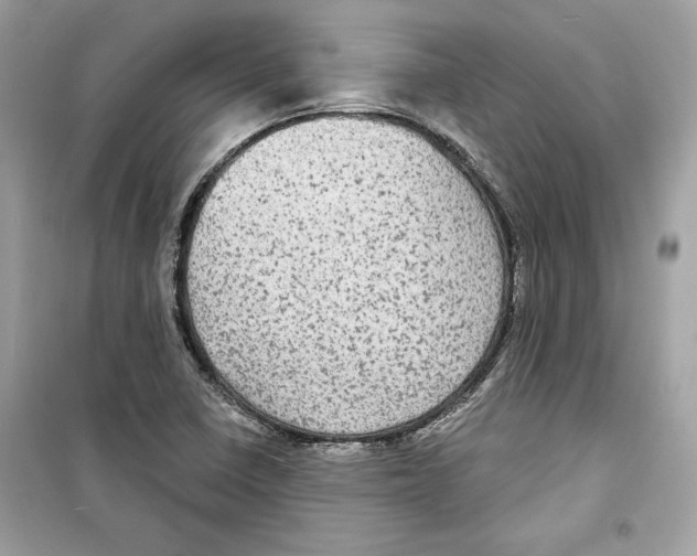 X0000098171410200805221505