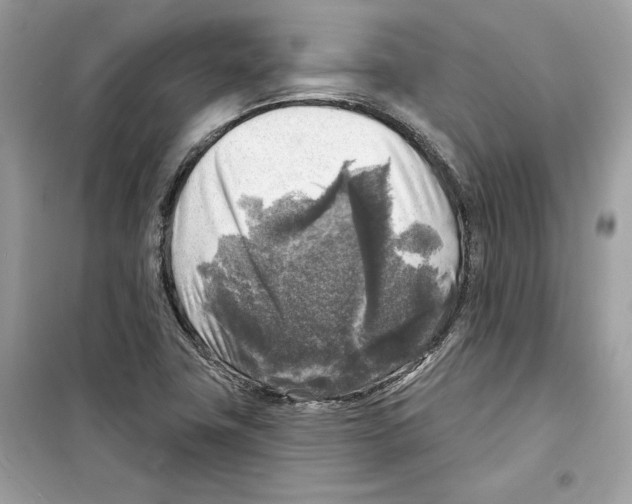 X0000098171411200805221505