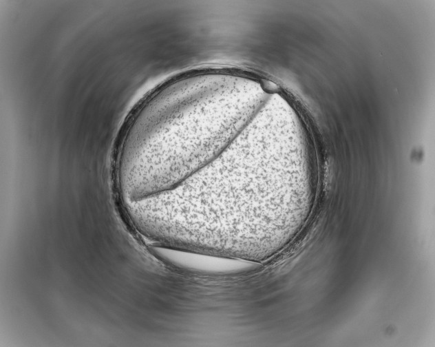 X0000098171412200805221505