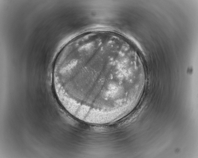 X0000098171413200805221505