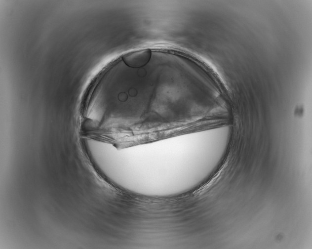 X0000098171414200805221505