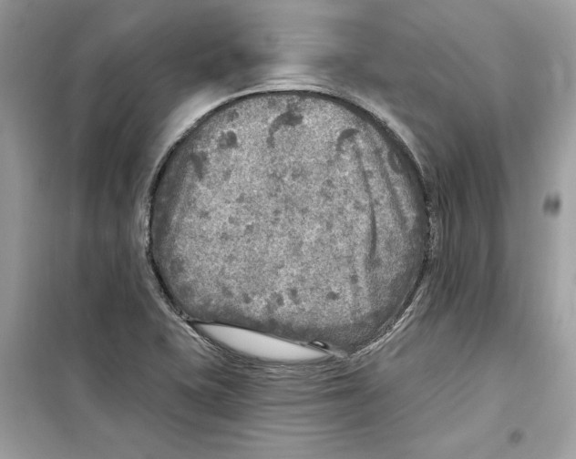 X0000098171415200805221505