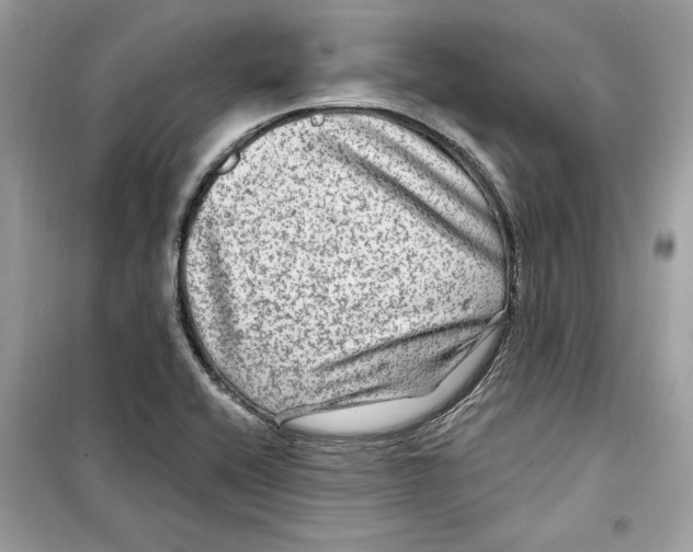 X0000098171416200805221505