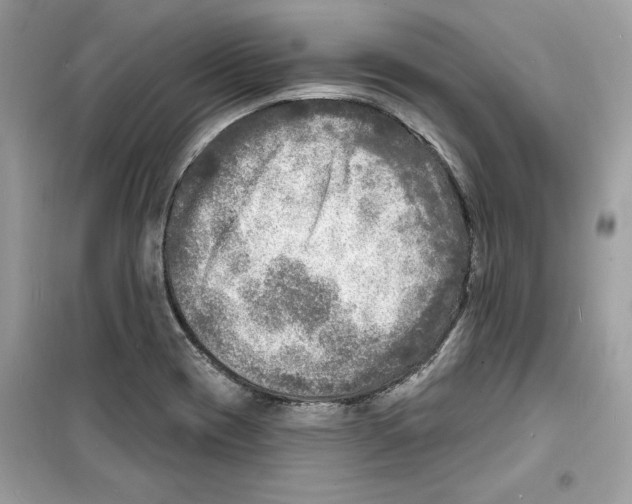 X0000098171417200805221505