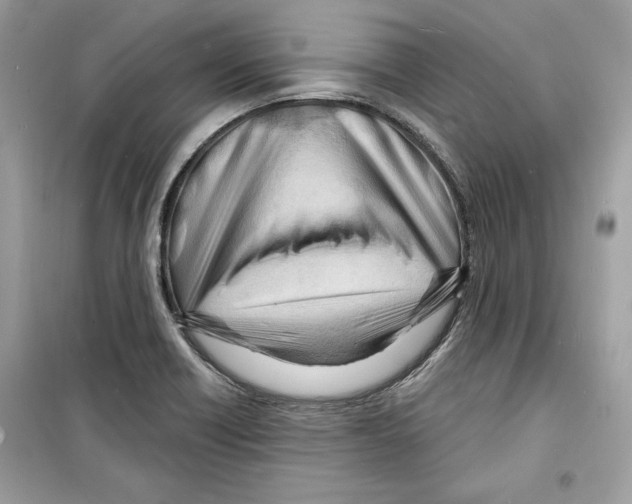 X0000098171418200805221505