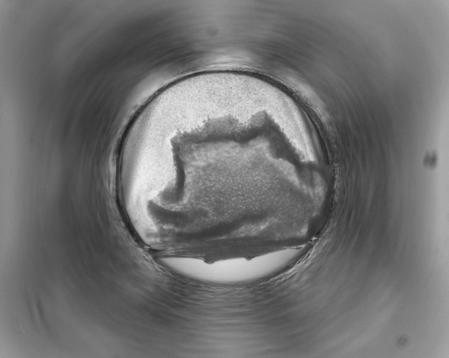 X0000098171419200805221505