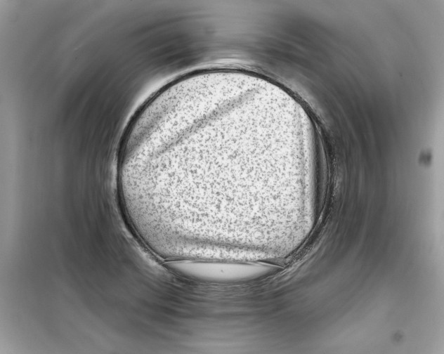 X0000098171420200805221505