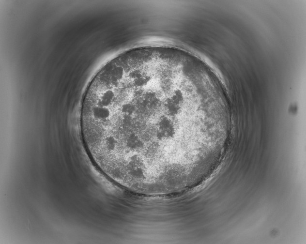 X0000098171421200805221505