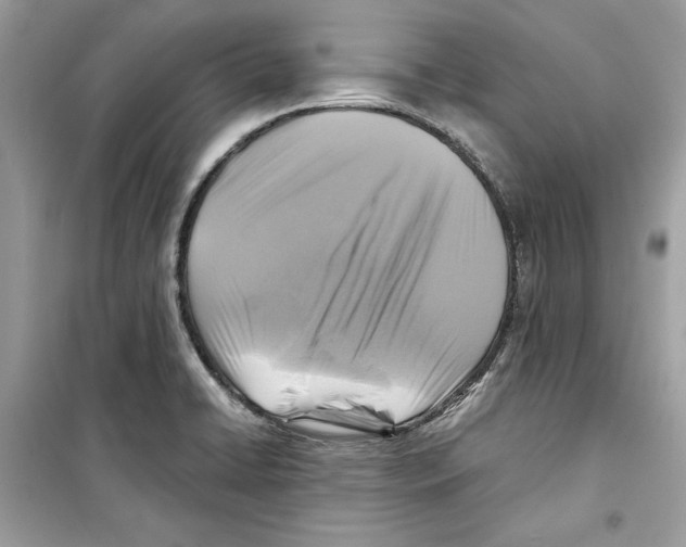 X0000098171422200805221505