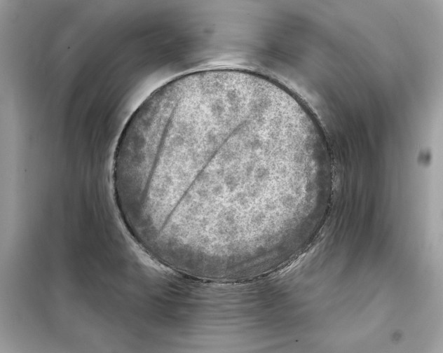 X0000098171423200805221505