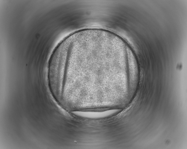 X0000098171424200805221505