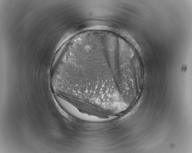 X0000098171425200805221505