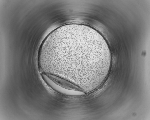 X0000098171426200805221505