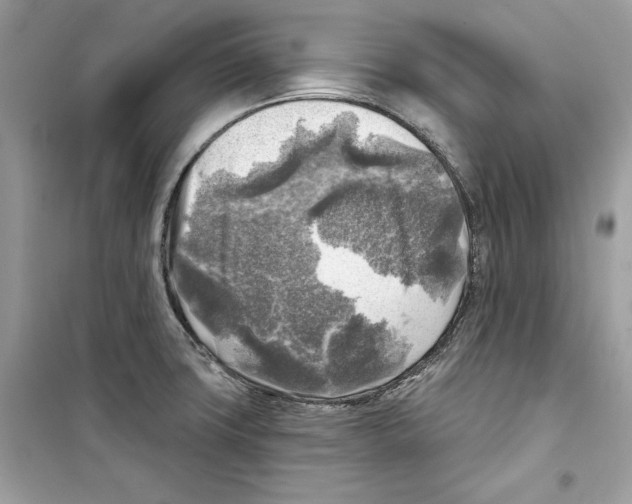 X0000098171427200805221505