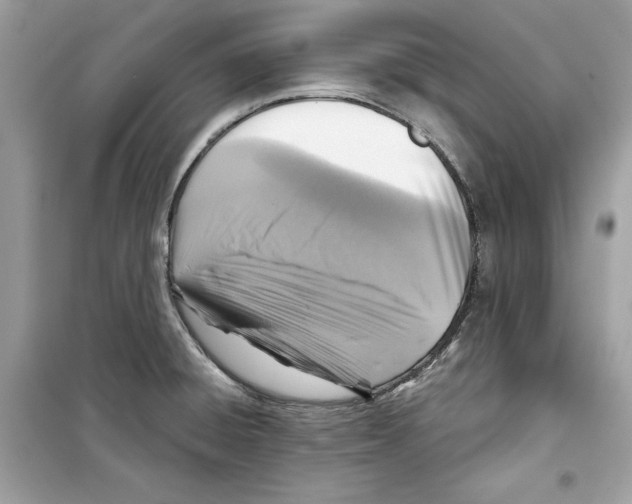 X0000098171428200805221505