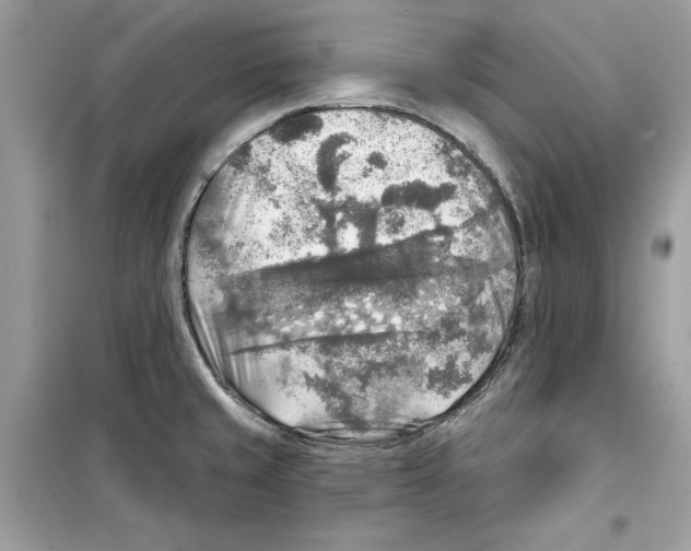 X0000098171429200805221505