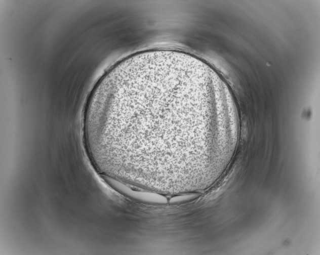 X0000098171430200805221505