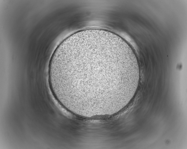 X0000098171431200805221505