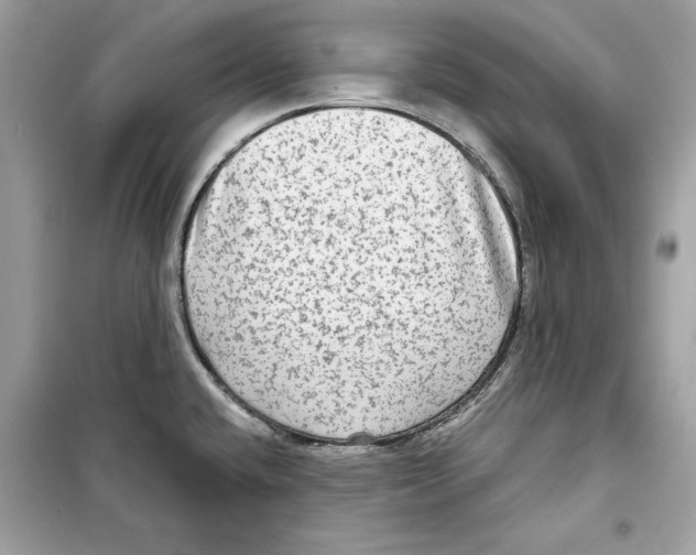 X0000098171432200805221505