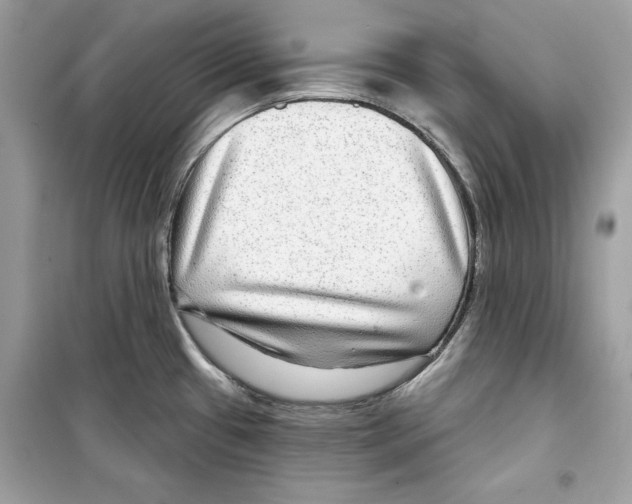 X0000098171433200805221505