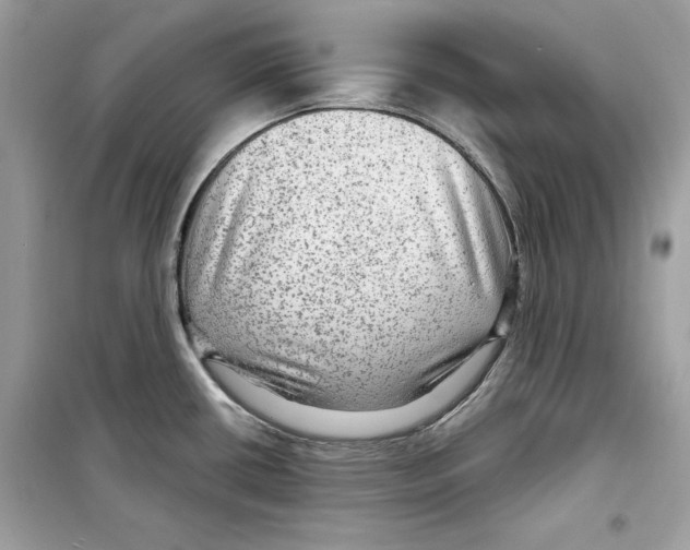 X0000098171434200805221505