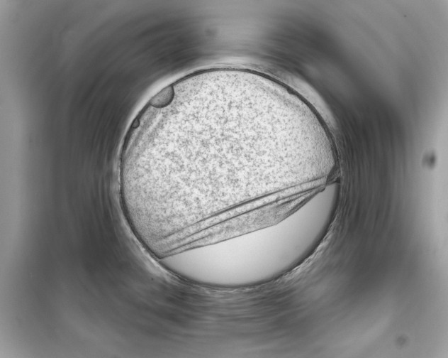 X0000098171436200805221506