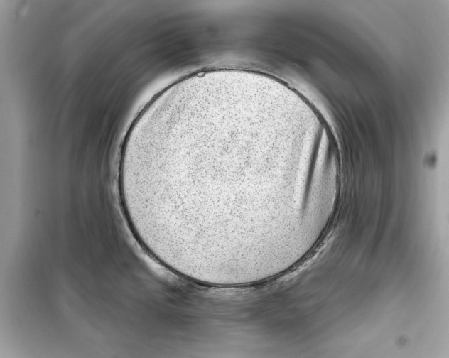 X0000098171437200805221506