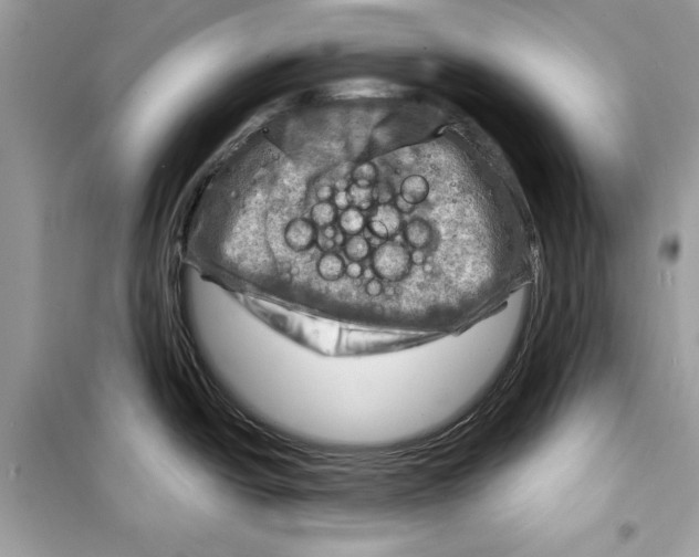 X0000098171438200805221506