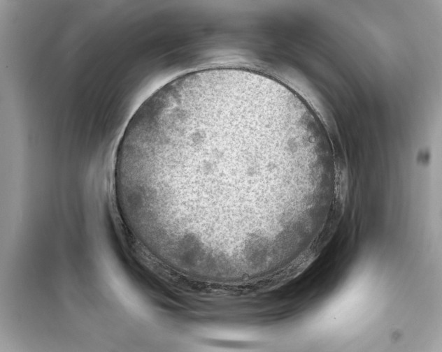 X0000098171439200805221506