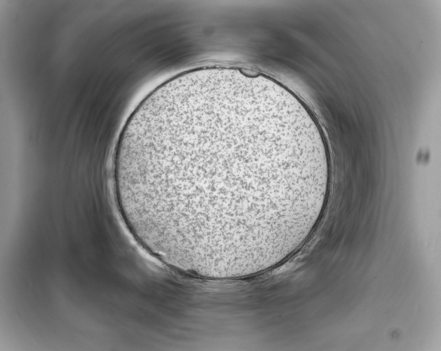 X0000098171440200805221506