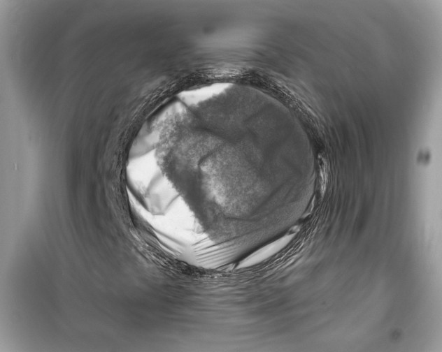 X0000098171441200805221505