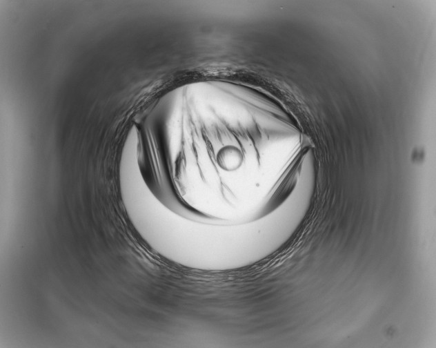 X0000098171444200805221505