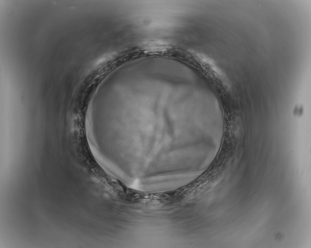 X0000098171445200805221505