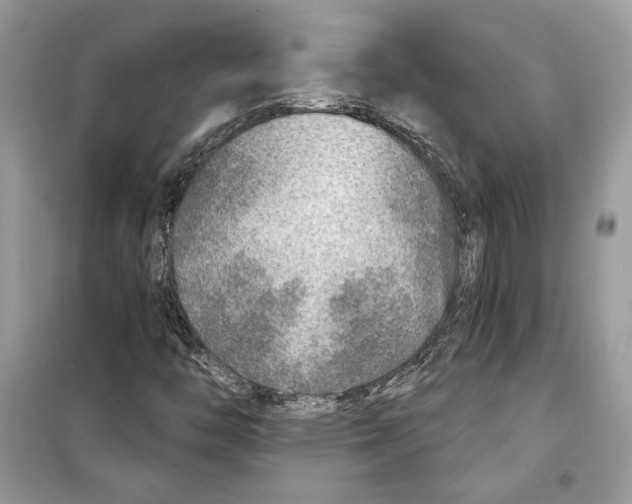 X0000098171446200805221505