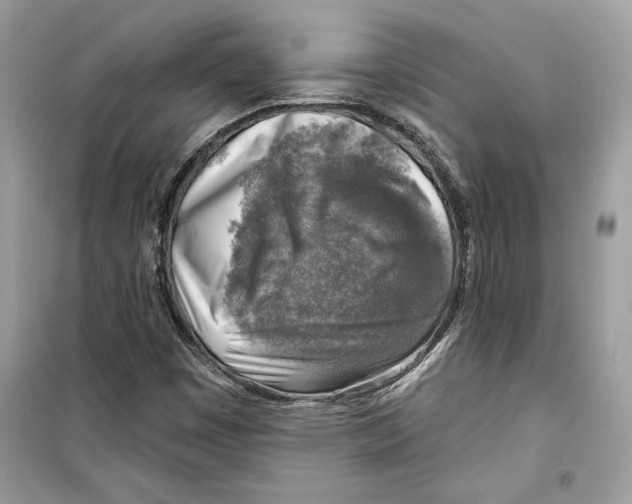 X0000098171449200805221504