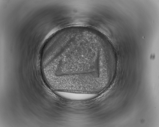 X0000098171450200805221504