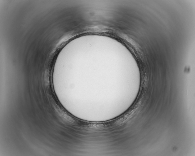 X0000098171451200805221504