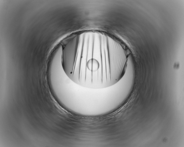 X0000098171452200805221504