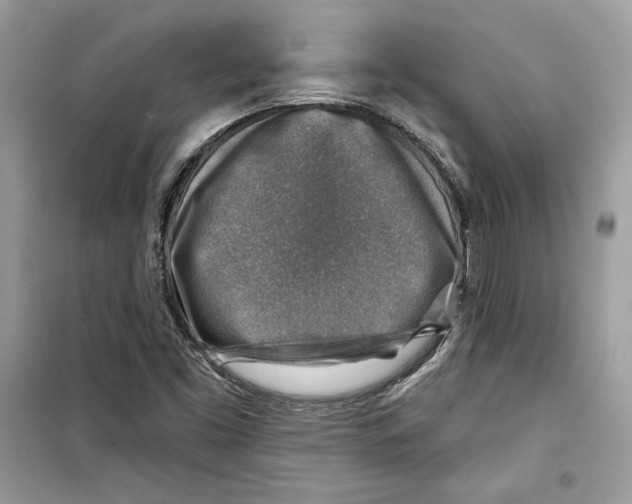 X0000098171453200805221504