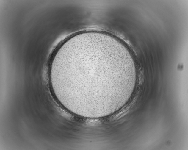 X0000098171454200805221504