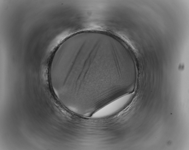 X0000098171455200805221504