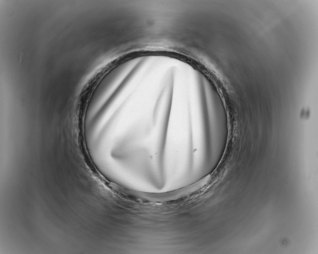 X0000098171456200805221504