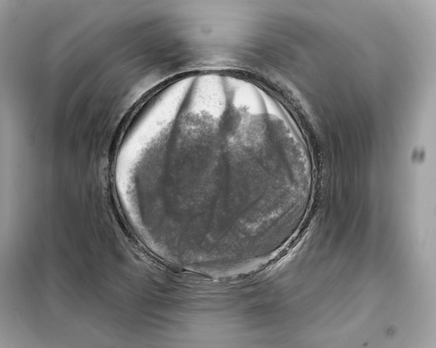 X0000098171457200805221504